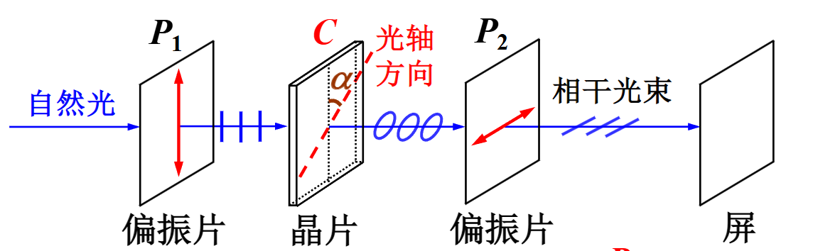 偏振光干涉装置