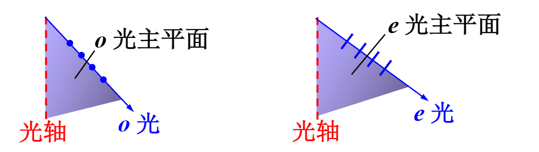 主平面与两束光的振动方向